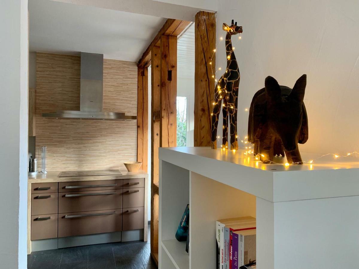 Deluxe Business City Apartments Metzingen Villa Landenberger Eksteriør bilde