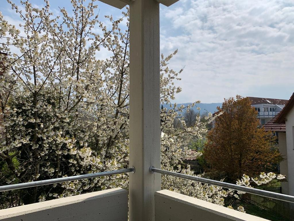 Deluxe Business City Apartments Metzingen Villa Landenberger Eksteriør bilde